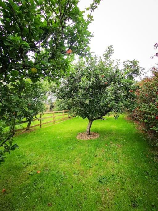 דינגל Orchard Cottage מראה חיצוני תמונה